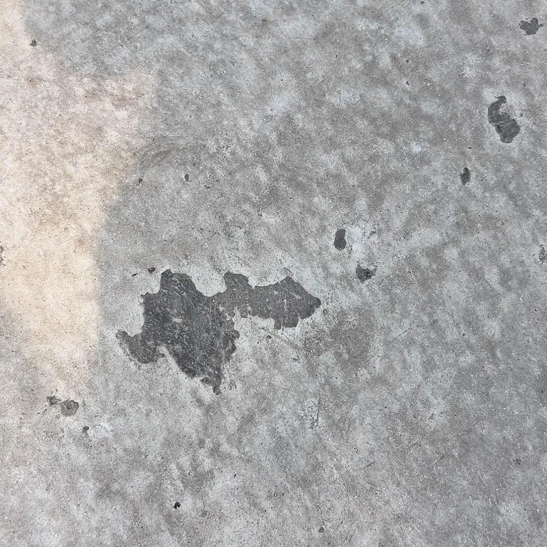y****当前无花栽培后可以开花