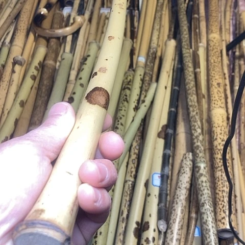 姑****箫精美湘妃竹一支起拍