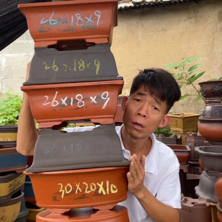 花盆紫砂紫砂艺术学院的