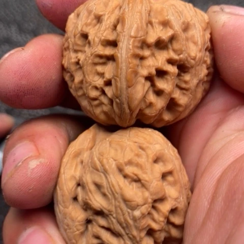 文玩核桃把件元宝20