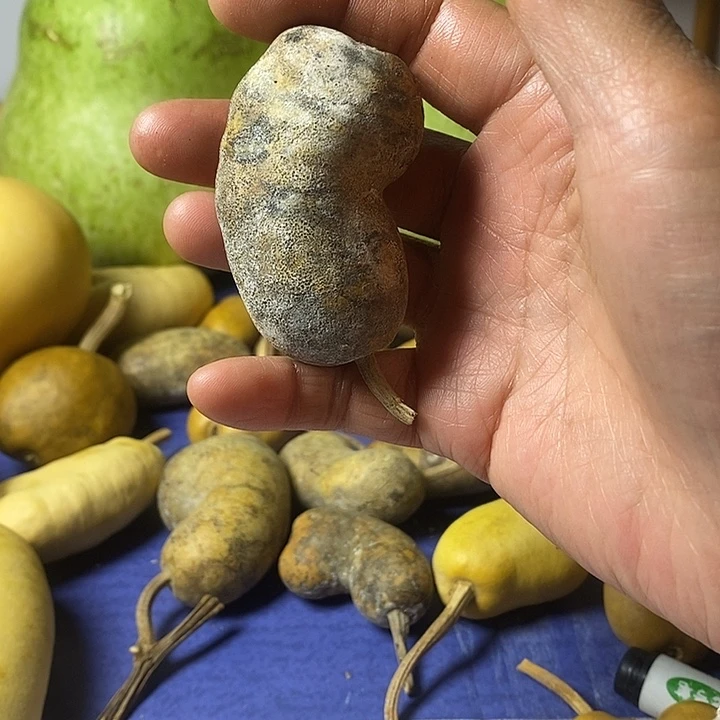 杰***大花皮土豆葫芦手把件