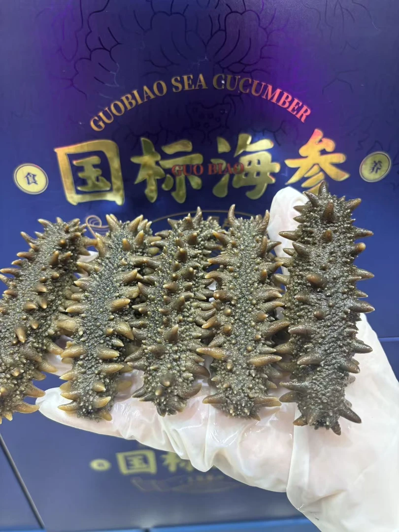 大连辽刺参即食海参8-10头 1到8斤装 顺丰冷链发货