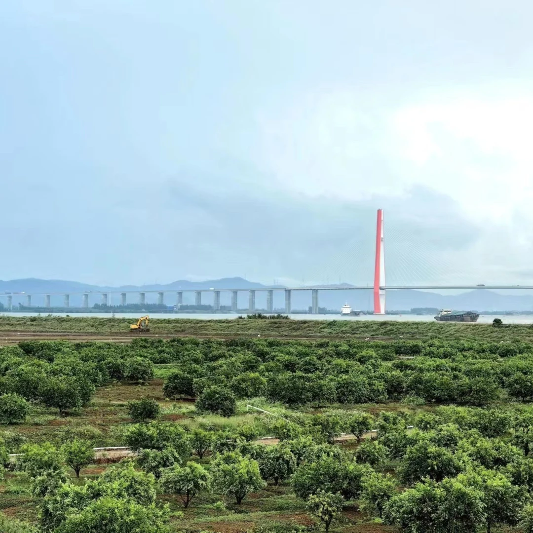 【618专属】临时链接（2017单断大红）——正宗新会陈皮