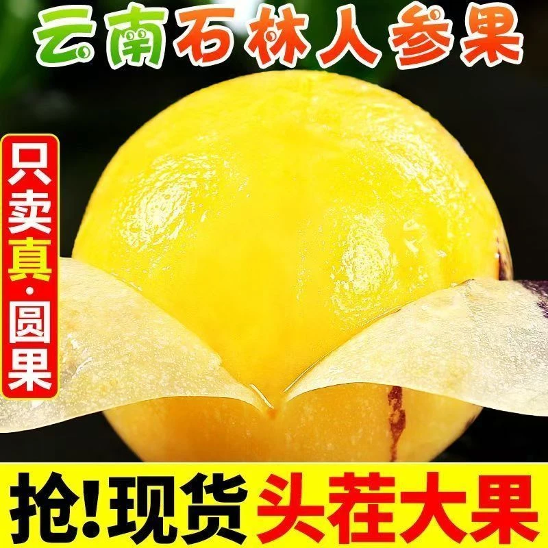 【树上熟】正宗云南石林人参果应季低糖孕妇果皮薄肉厚香味十足汁