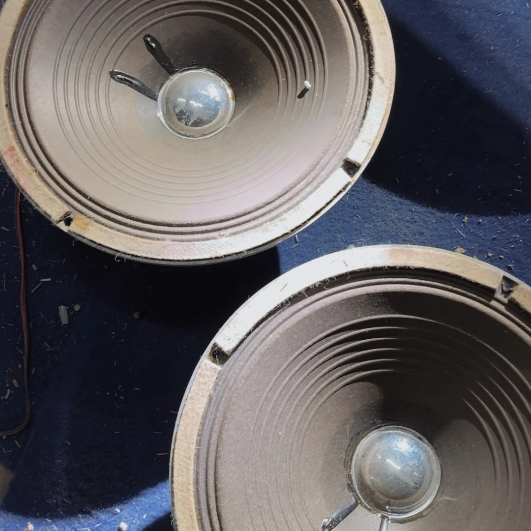 8新两个10寸南京老喇叭包邮，8/20