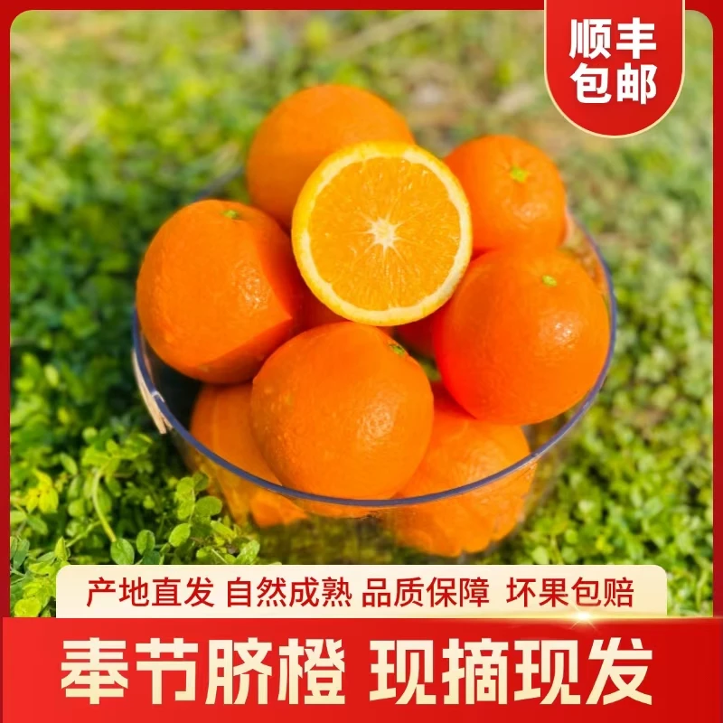 重庆奉节脐橙原产地现摘现发橙子5/9斤礼盒装顺丰包邮坏果包赔