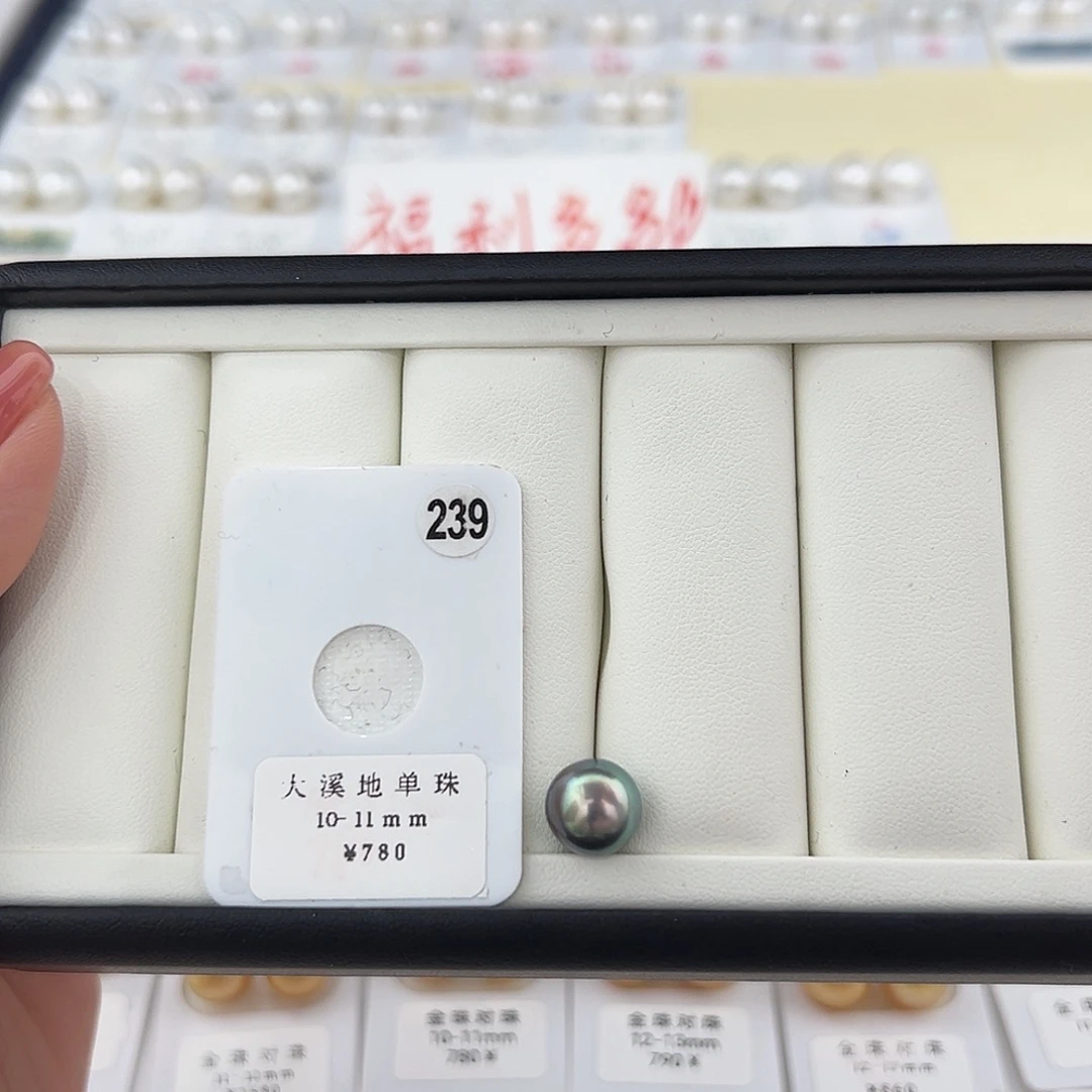 定制海水珍珠未镶嵌裸珠大溪地孔雀绿10-11