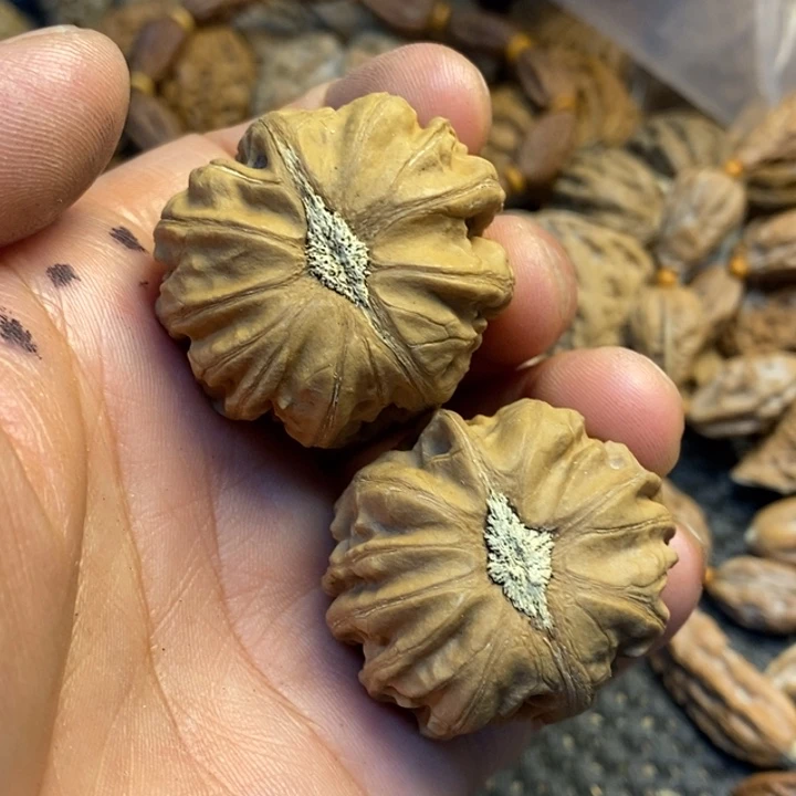 吊坠文玩核桃娜姐82