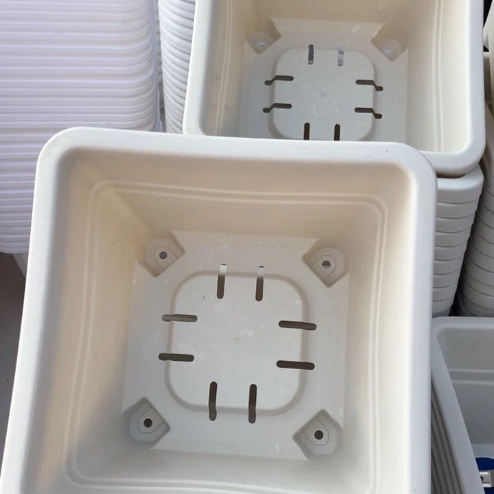 红陶白方口26方18一组5