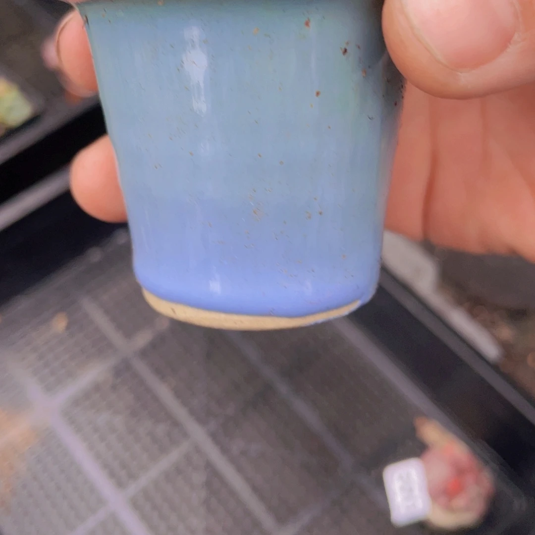 B***尔补盆的价格 盆盆盆盆