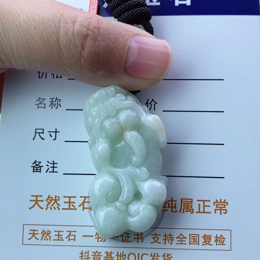 【闪购商品】翡翠颈饰未镶嵌貔貅