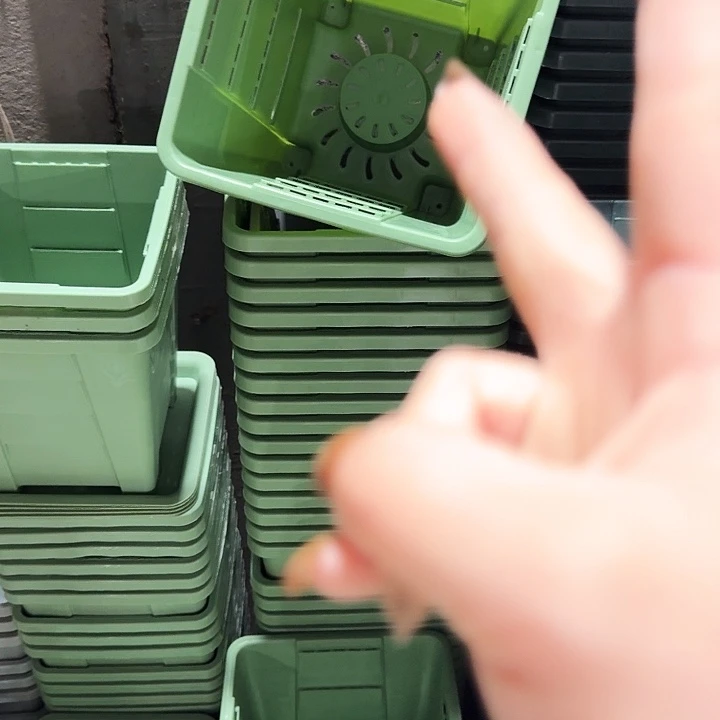 编号201果绿带托10套