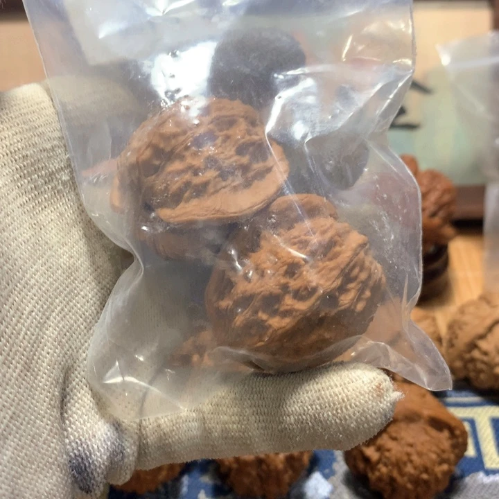 T***y哈哈哈哈哈哈哈哈哈