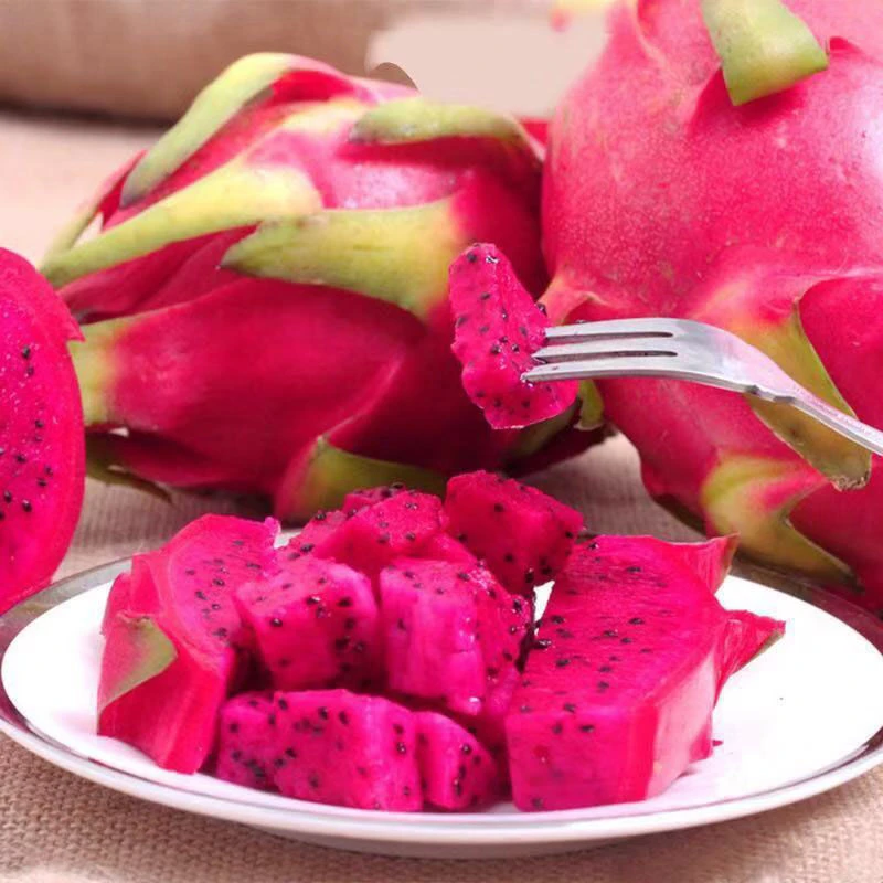 萧鲜生广西金都1号树上熟红心火龙果5斤装  皮薄多汁77