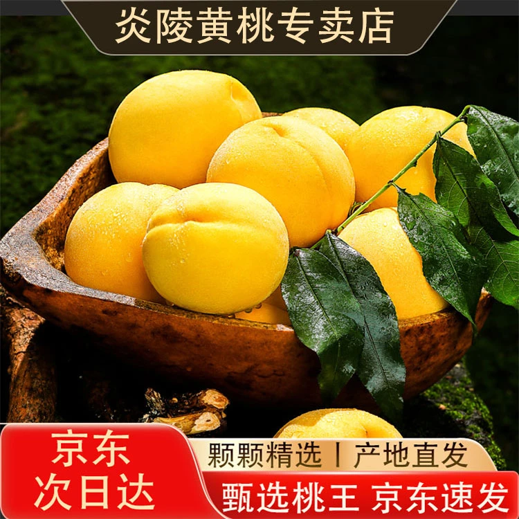 【10斤装】正宗炎陵黄桃蜜桃锦绣黄桃新鲜应季水果现摘现发次日达