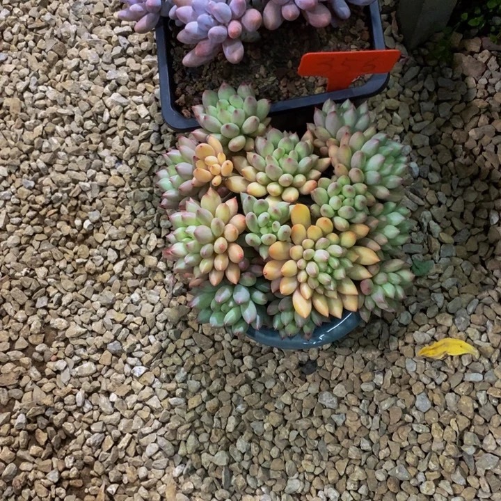 你不去上班就好的呀