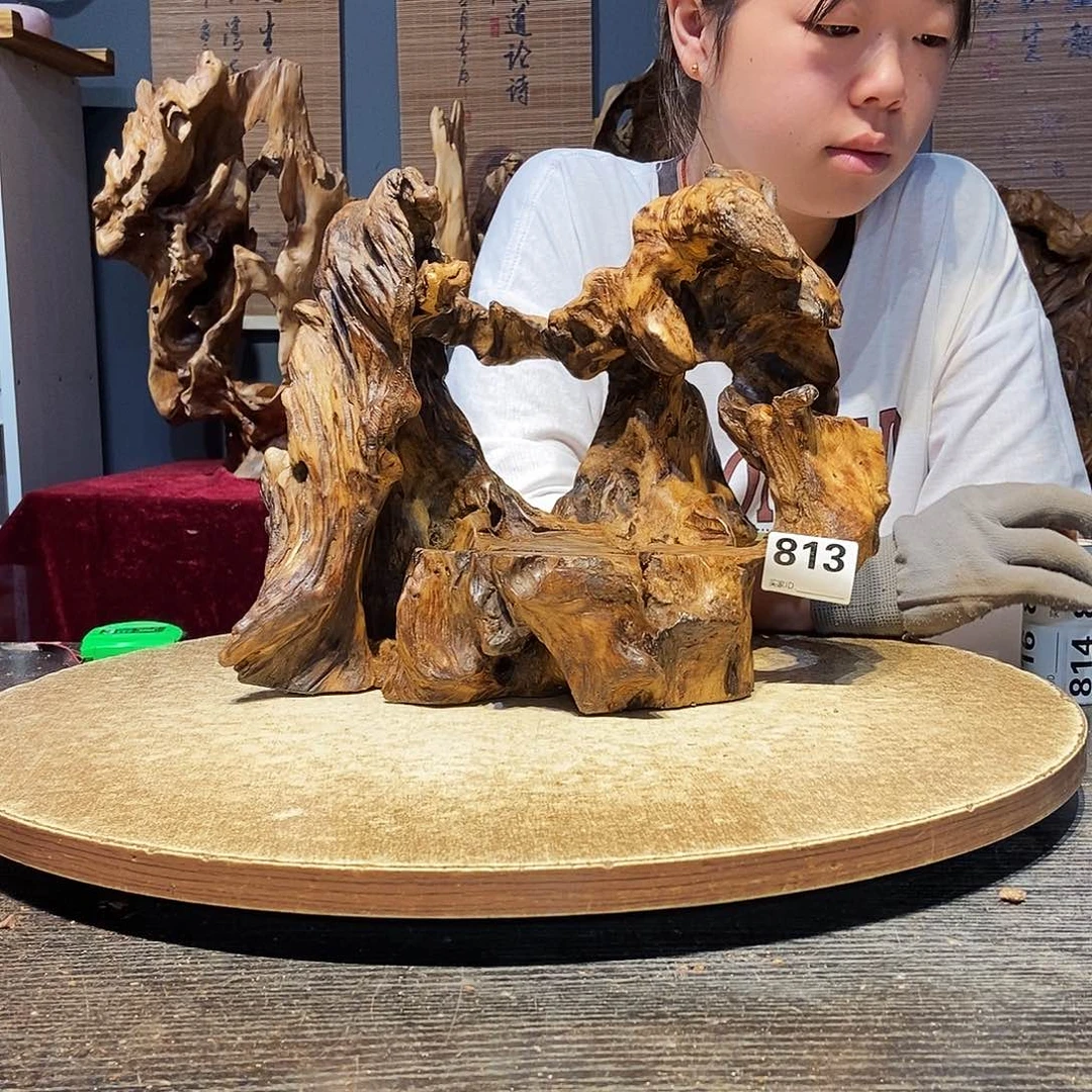 停***留813株木随行的小根艺