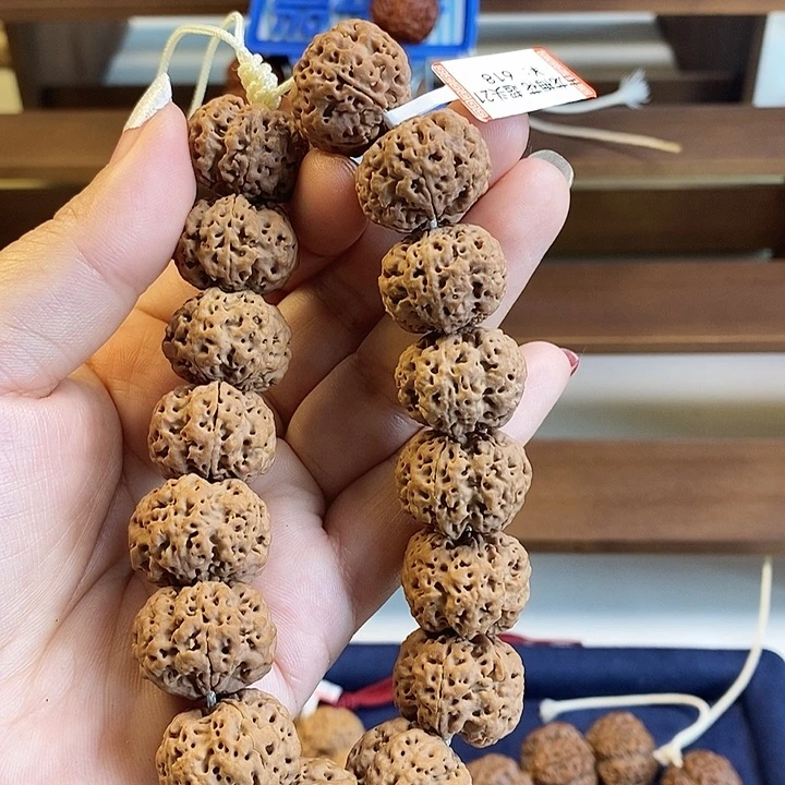 金刚菩提手串古龙梅花