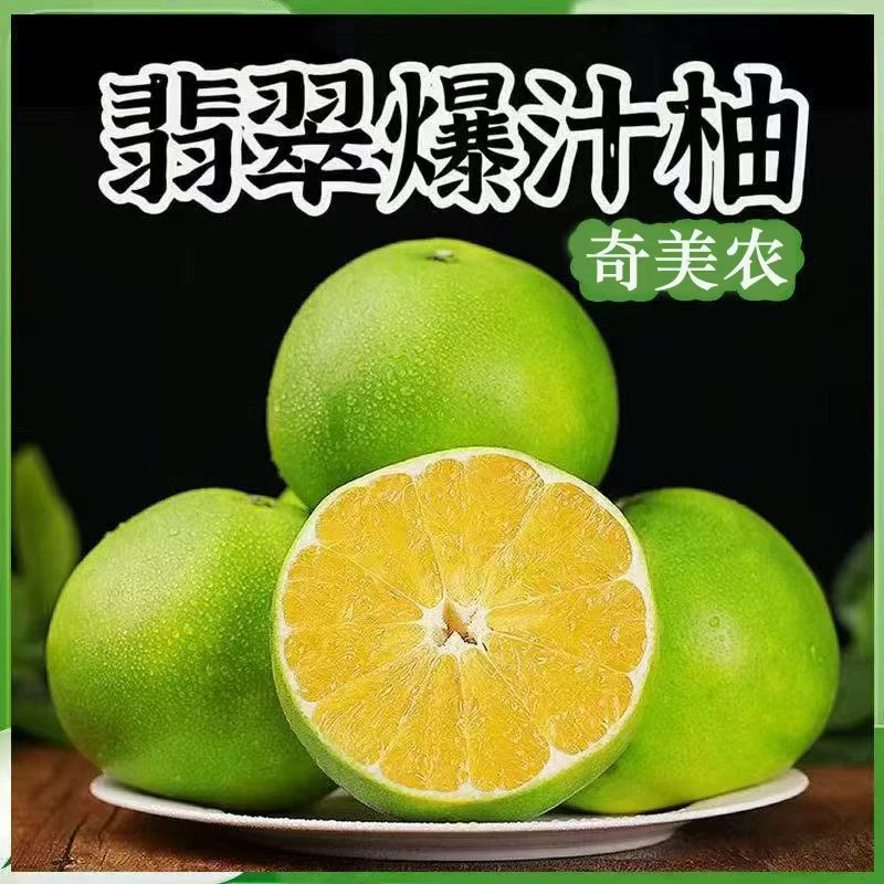 【中秋送礼】正宗翡翠爆汁柚绿宝石青柚恐龙蛋当季新鲜高端水果