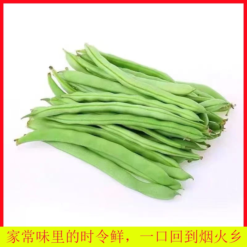 5斤东北芸豆角新鲜现摘四季豆农家露天种植当季蔬菜青豆无筋豆角