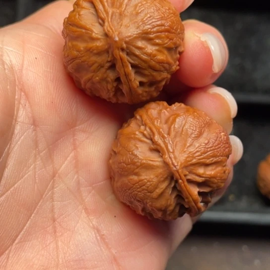 文玩核桃吊坠秦岭野生核桃