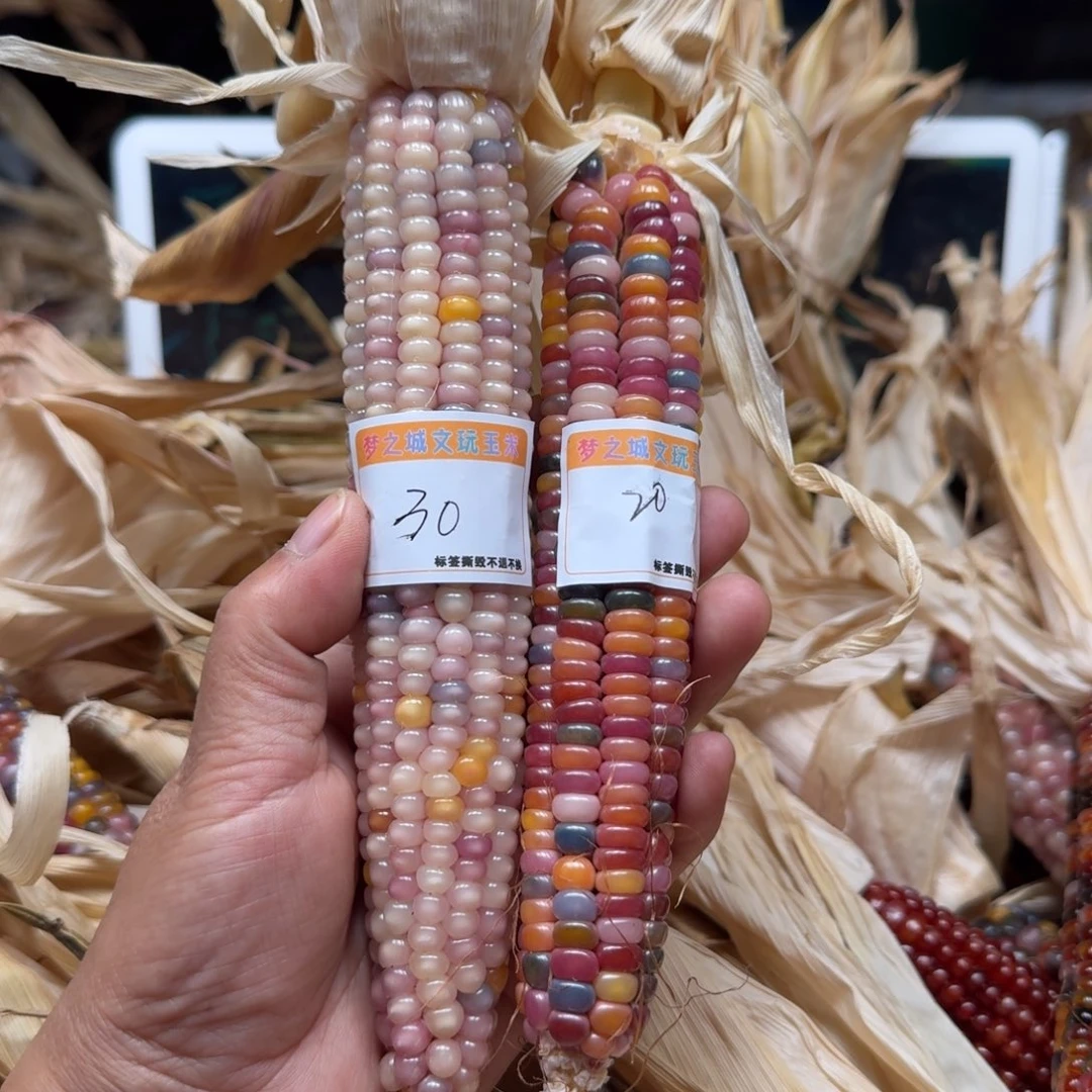 是***吖柏香籽/百香籽吊坠