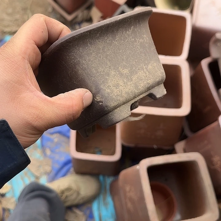 你就在家里待不着啦哈你还说要回来