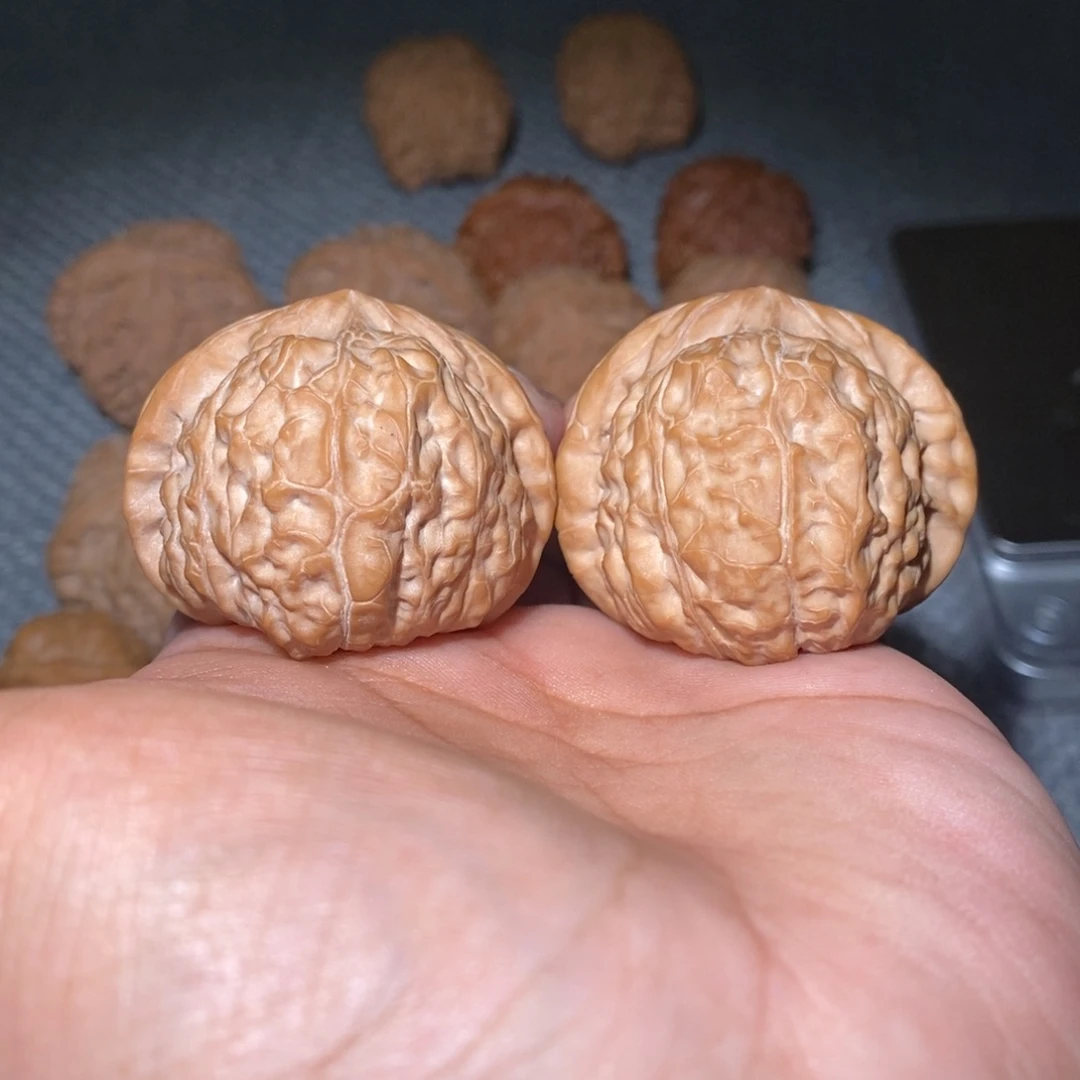 风***角44尺南瓜。