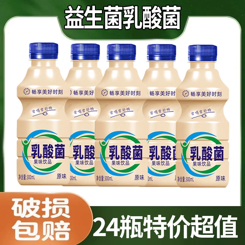 特价乳酸菌300ml*24瓶儿童早餐厂家直销好喝不贵现货速发含乳饮料
