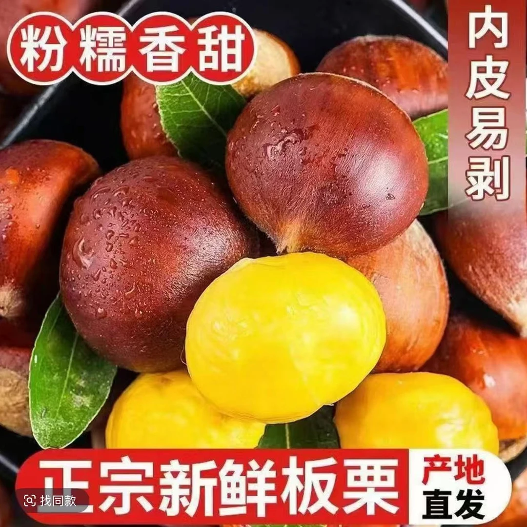 【买三斤送两斤】新鲜采摘板栗产地直发