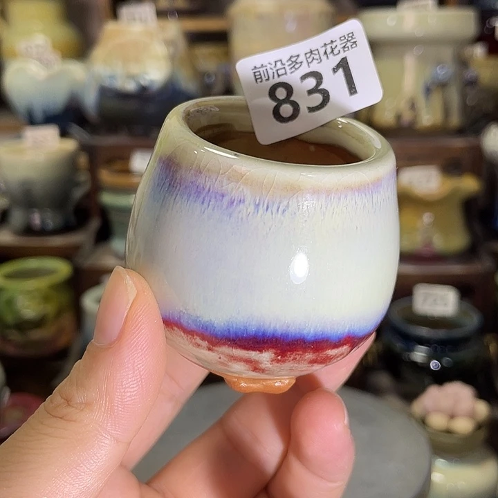 狼盆内口径5高度5