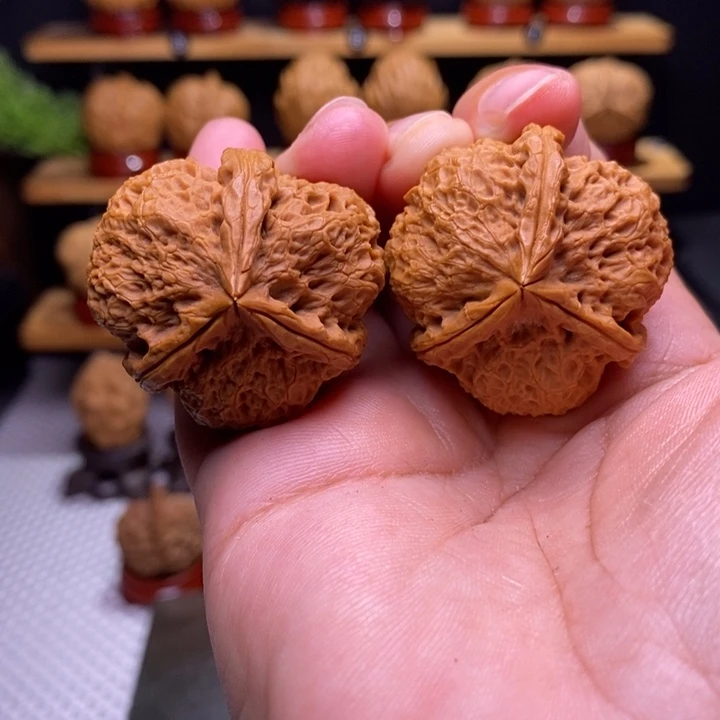 核桃云铁天狼三棱59号