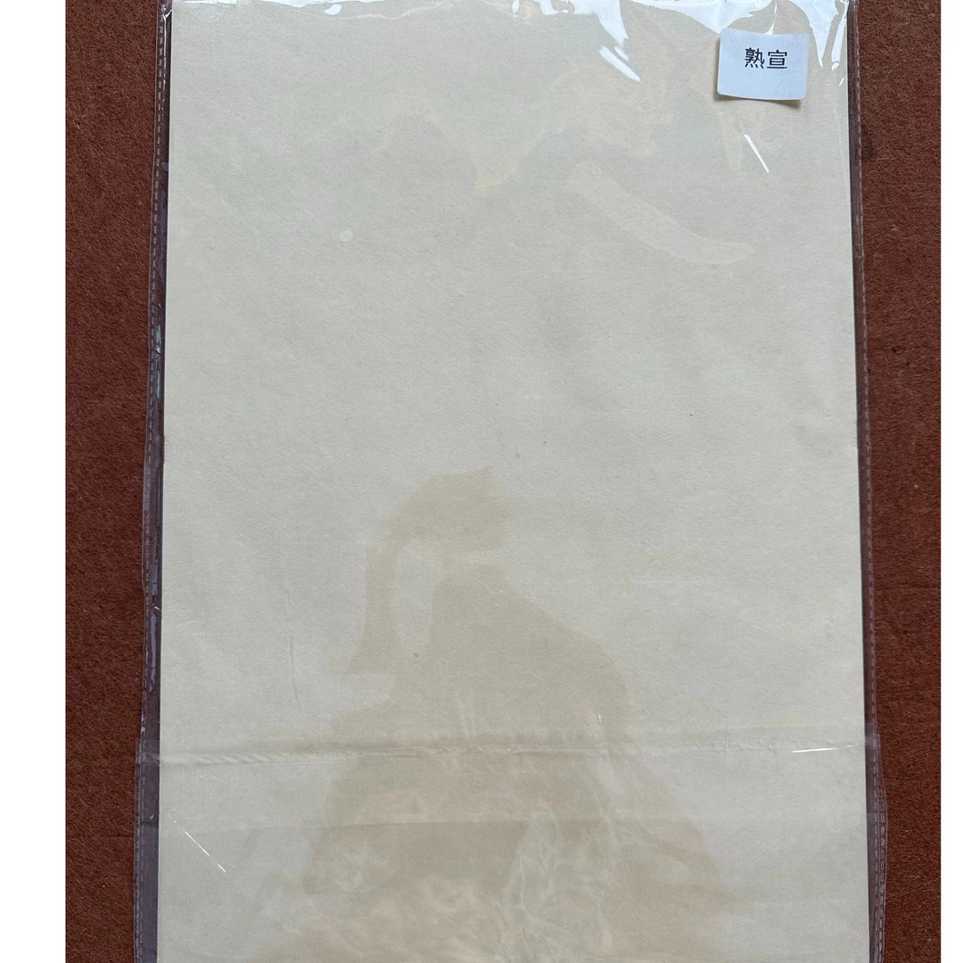 国画九分熟宣纸 适用没骨工笔小楷 42*29.7cm 一包10张
