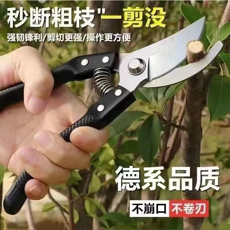 精工剪刀修剪树枝专用剪刀花木剪修枝剪刀果树木剪子园艺园林