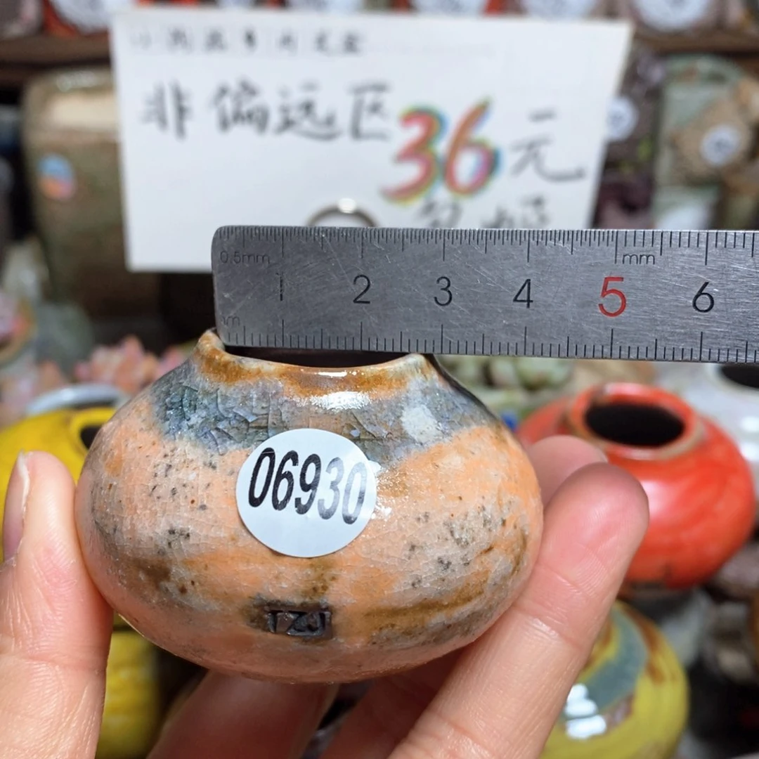 花盆拍5送一个小礼物
