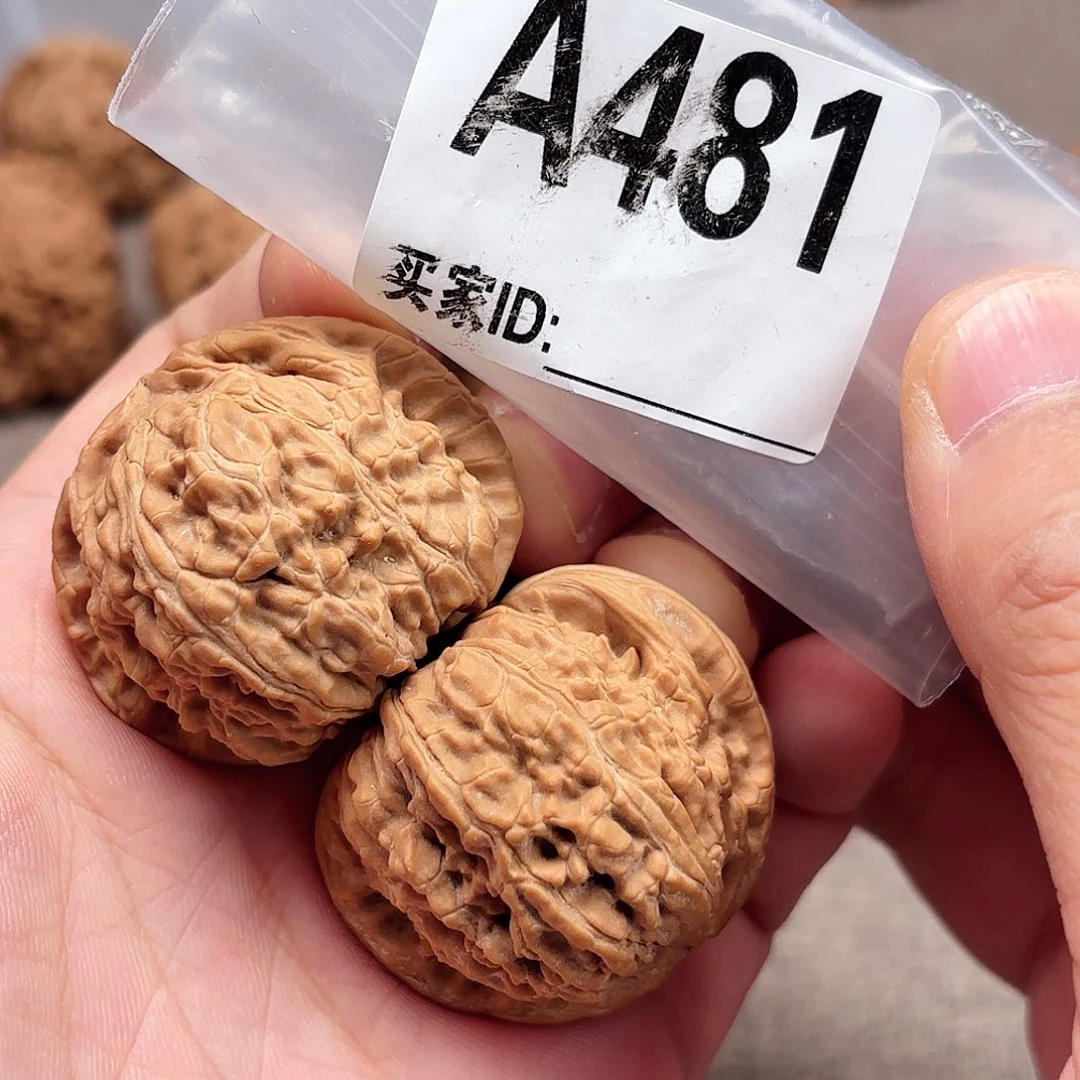 文玩核桃把件白狮子A481