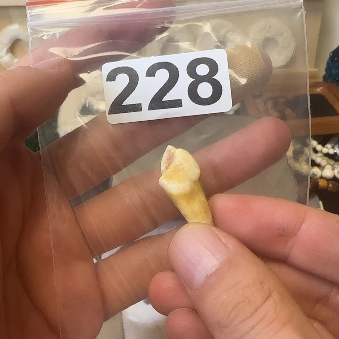 猛犸象牙手串/手链/手镯