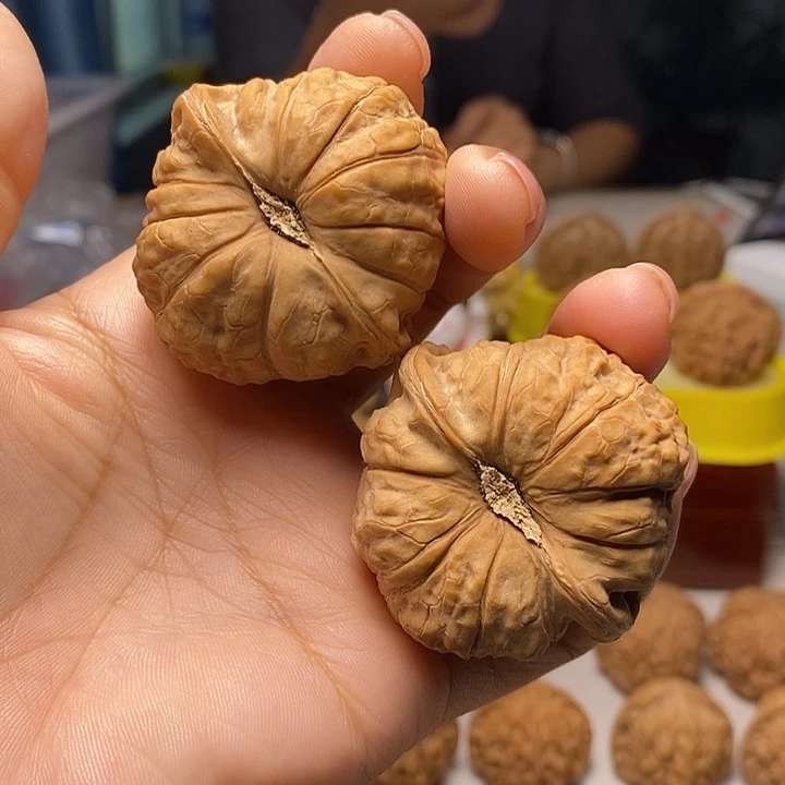 核桃47尺寸的大南瓜