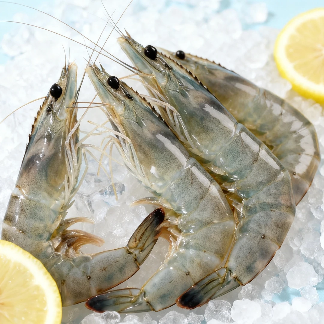 5斤整盒海虾12-15厘米15-20个每斤薄冰速冻锁鲜