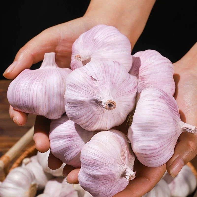 农家2025年新鲜干蒜紫白皮干蒜多瓣皮薄肉多足干耐放公
