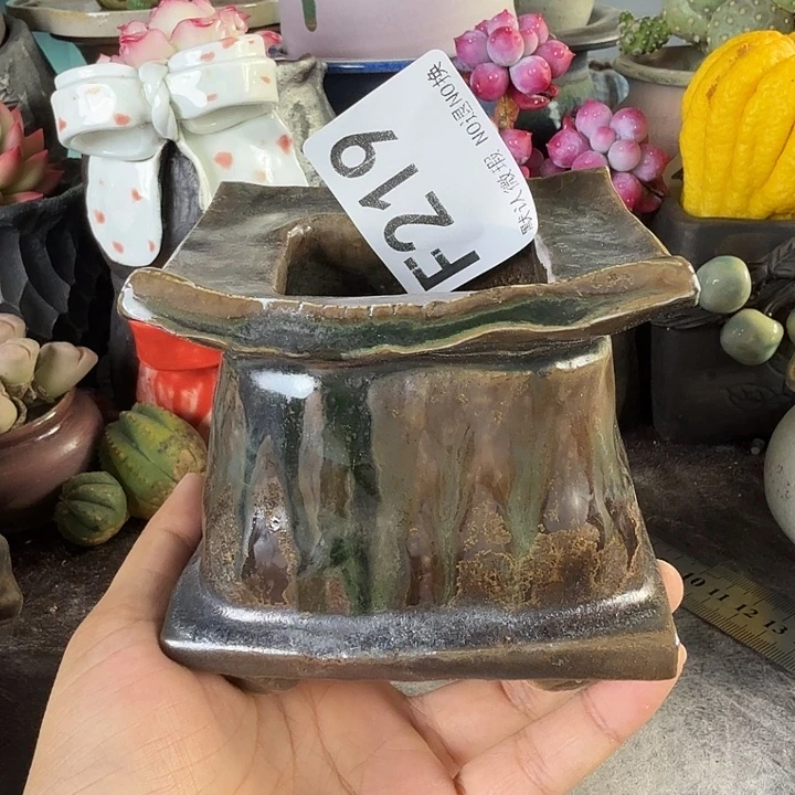 重庆小燕子欢迎大家219