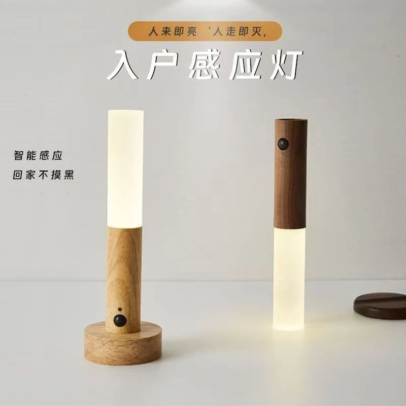 高级入户门感应灯人来即亮智能感应小夜灯楼道玄关灯充电床头壁灯