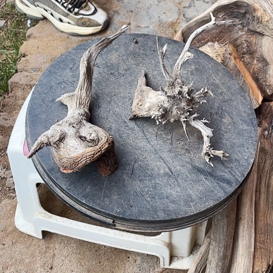 用***8柏木崖柏崖柏香料