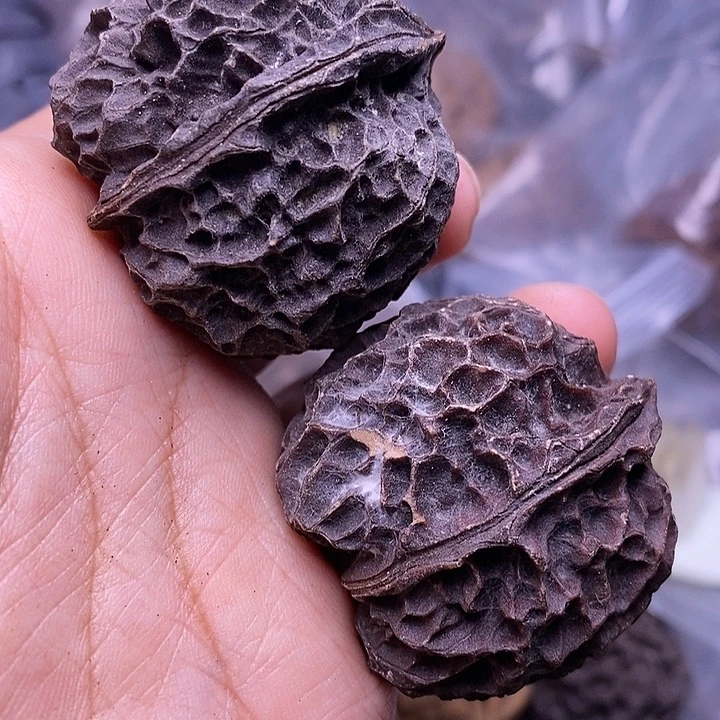 文玩核桃把件   85