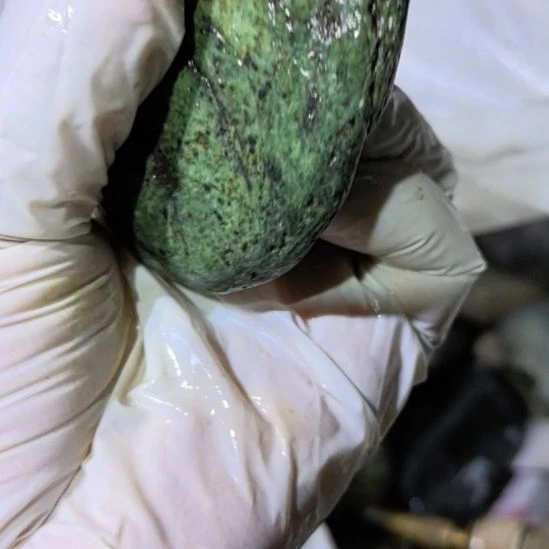 塞***岸有机玻璃藏玉药王石原石