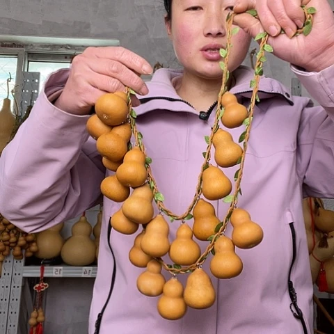 志**远天然植物葫芦文玩