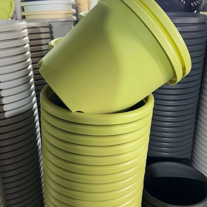 四季5#口径29果绿10个无托