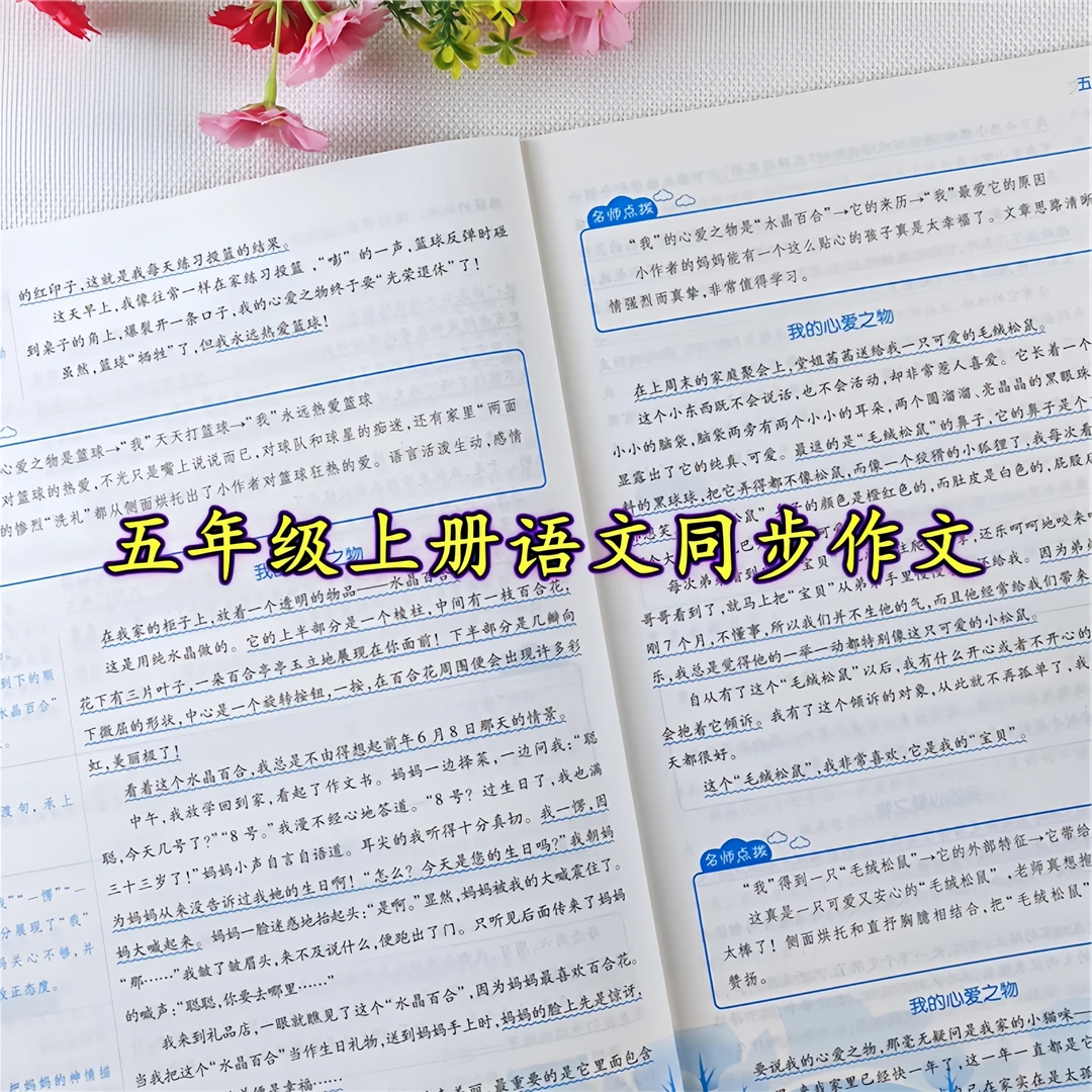 小学生五年级上册语文同步作文与阅读训练人教版五年级同步作文书