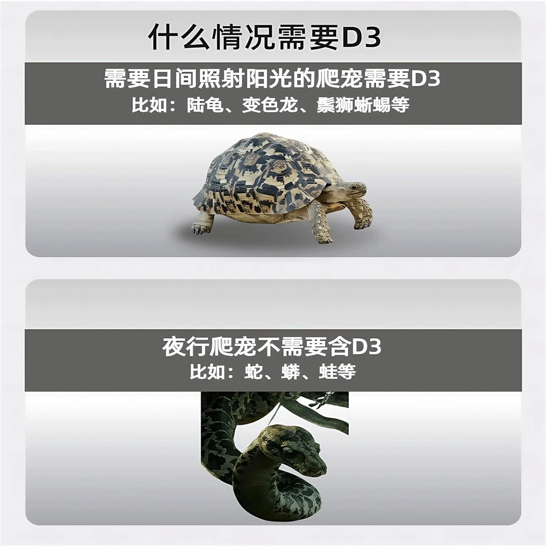 爬宠钙粉爬虫钙粉D3补钙陆龟鬃狮蜥蜴维生素维生素BAC守宫睫角