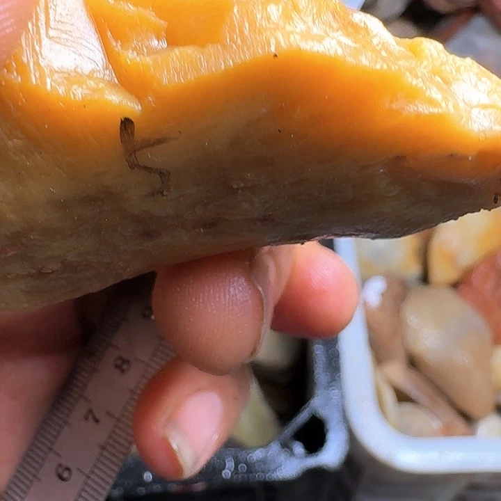 红***玩寿山石寿山石的种类